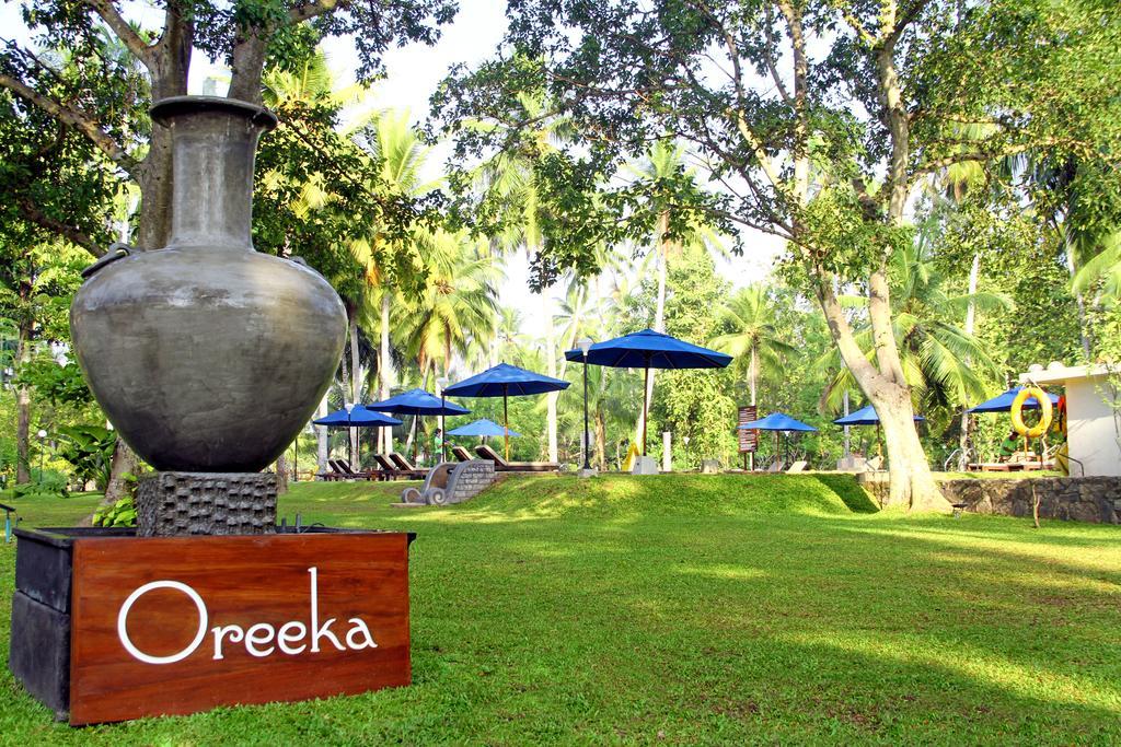 Oreeka - Katunayake Airport Transit Hotels Exteriér fotografie