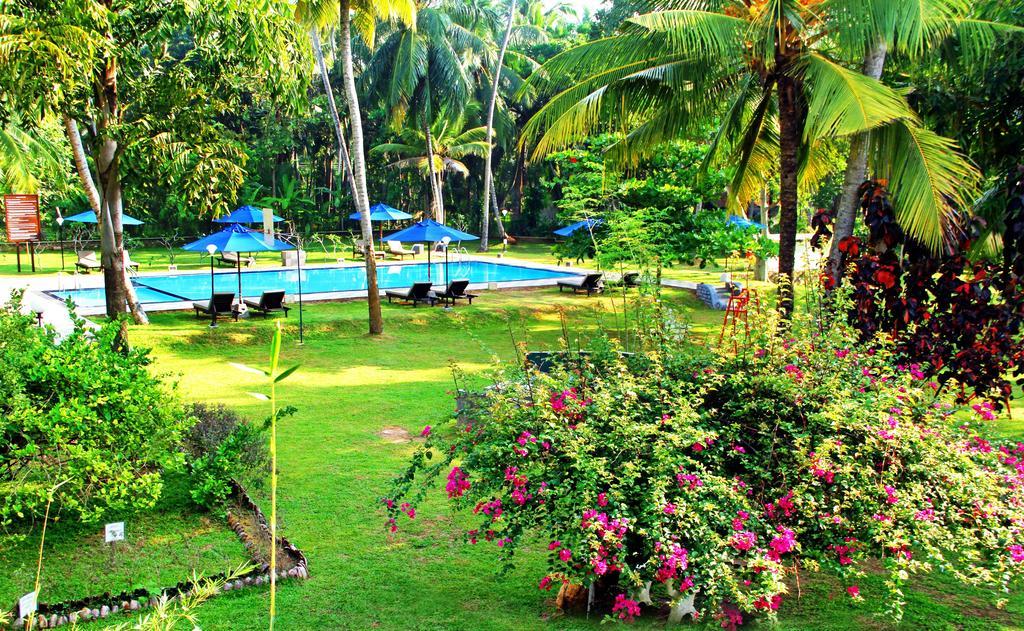 Oreeka - Katunayake Airport Transit Hotels Exteriér fotografie
