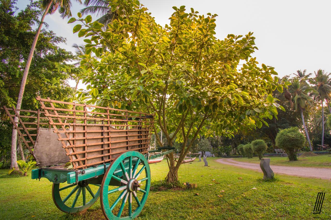 Oreeka - Katunayake Airport Transit Hotels Exteriér fotografie