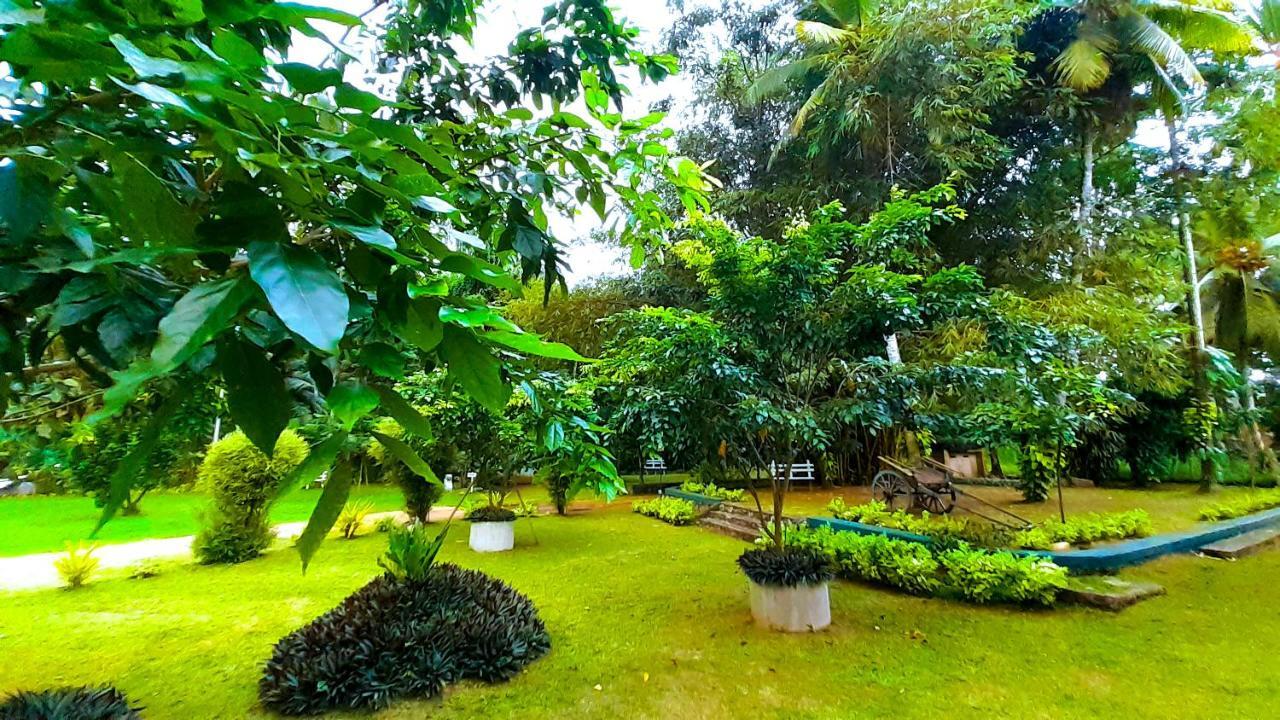 Oreeka - Katunayake Airport Transit Hotels Exteriér fotografie