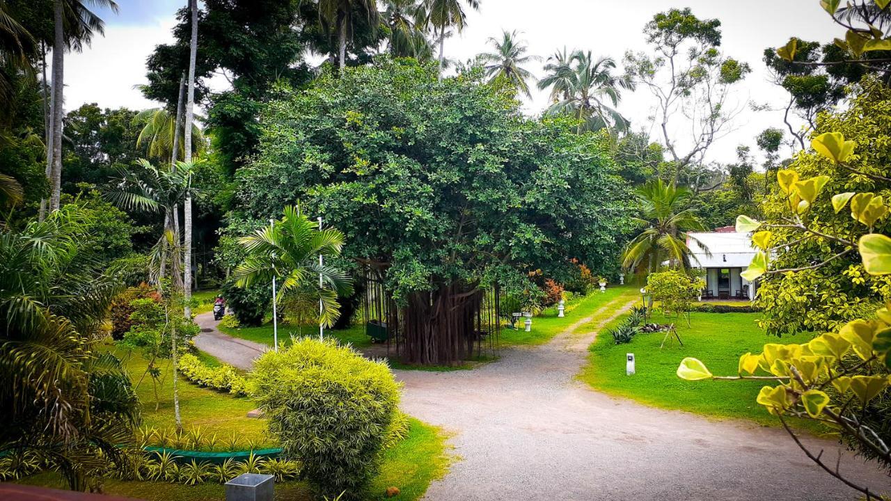 Oreeka - Katunayake Airport Transit Hotels Exteriér fotografie